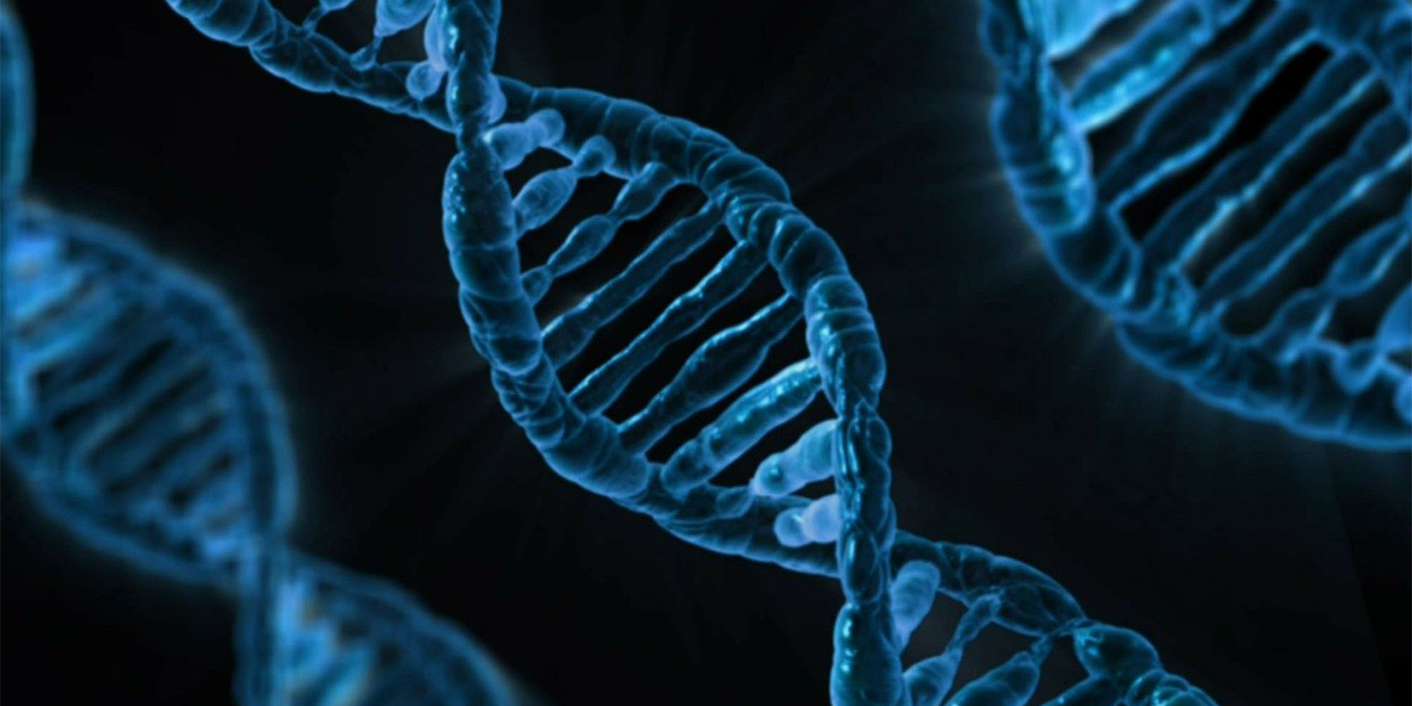 Klinisch geneticus omschrijving functie